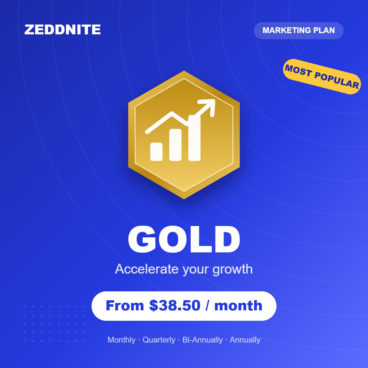 Zeddnite Gold plan – Accelerate your growth