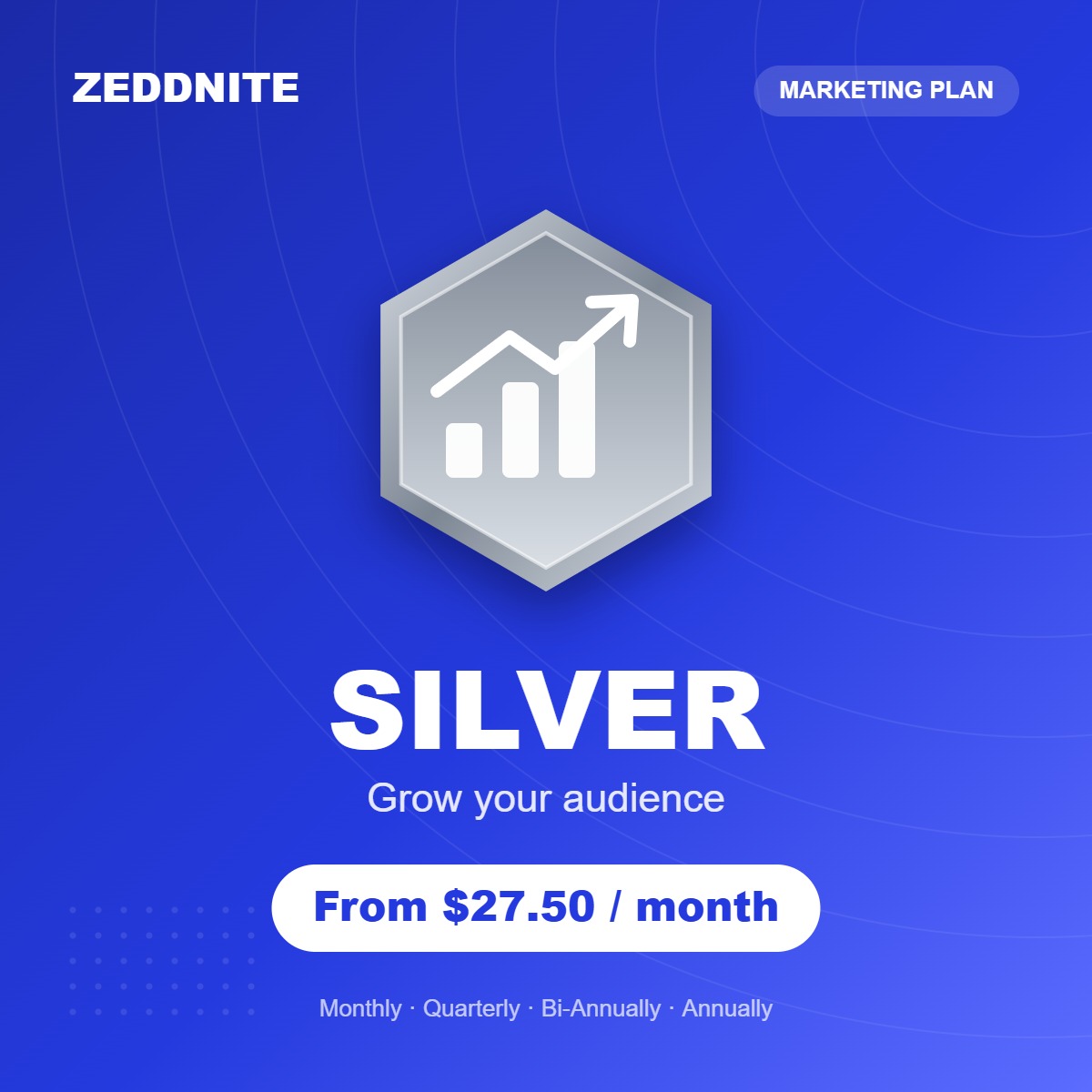 Zeddnite Silver plan – Grow your audience
