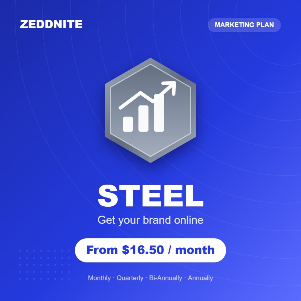 Zeddnite Steel plan – Get your brand online